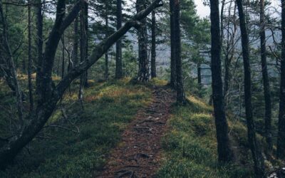 Agile in Creativity: The Sprint That Never Ends