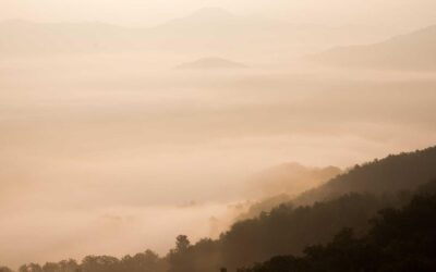 The Annual Strategy Deck That Changes Absolutely Nothing