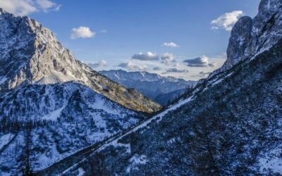 Brand Purpose: When Companies Pretend They Have a Soul