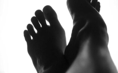 The Communications Committee: A Field Guide to Modern Corporate Tragedy