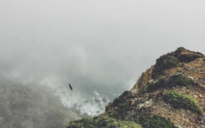 The Creative Budget: Why It’s Always “Whatever We Had Last Year”