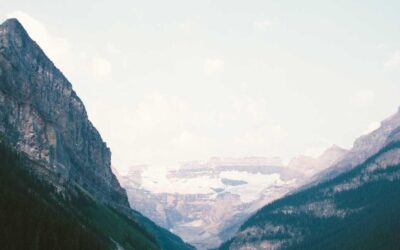 The Eternal Stakeholder Syndrome: When Everyone Has Opinions and Nobody Decides