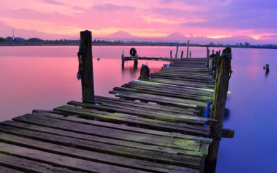 Why All Insurance Ads Look the Same (And Why That’s Not an Accident)