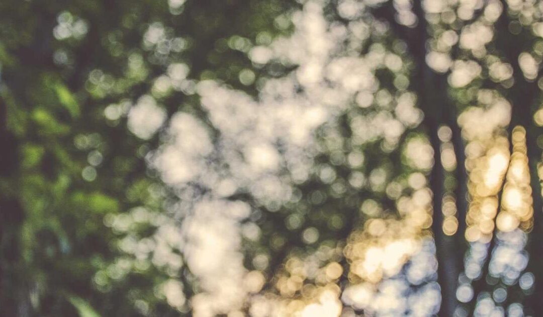 Authenticity in Marketing: The Oxymoron of the 21st Century