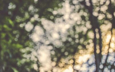 Authenticity in Marketing: The Oxymoron of the 21st Century