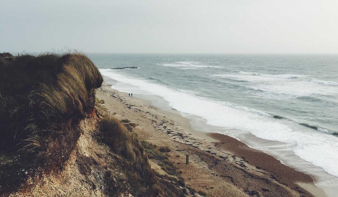 The Art of Charging What You’re Worth — Without Apologizing First