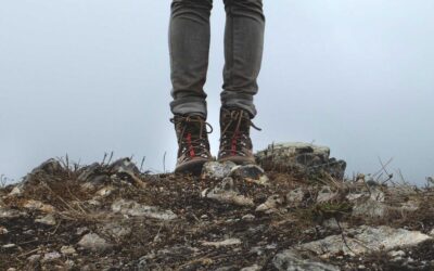 The Creative’s AI Toolkit: Twelve Subscriptions, Zero Direction