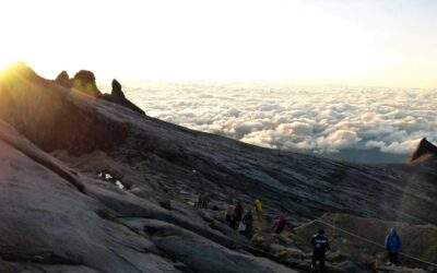 Why Marketers Love the Word ‘Ecosystem’ (And What They’re Hiding Behind It)