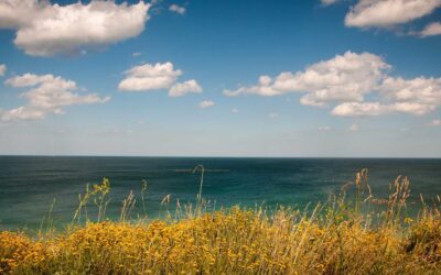 Microcopy: The Most Underestimated, Underpaid Craft in All of Digital