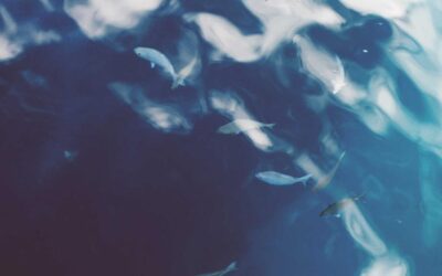 The Brief of the Future: Will Generative AI Kill the One Document Creatives Already Hate?