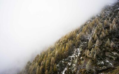 The Rebranding That Changed Everything Except the Actual Problem