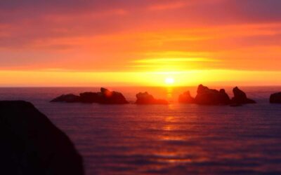 When the Placeholder Copy Becomes the Final Copy: A Horror Story in Twelve Rounds of Revisions